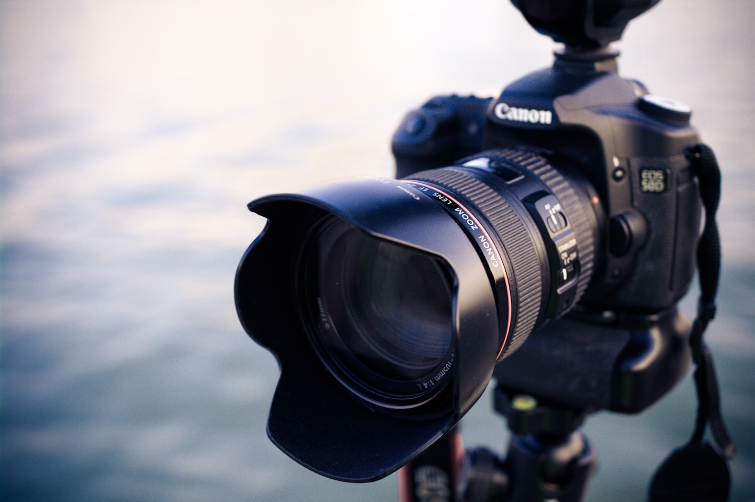 How to Make Your Memories Last Through Film