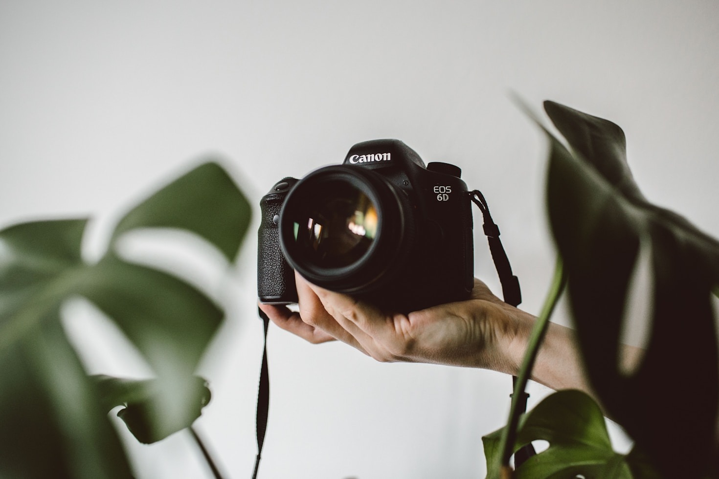 Creative Visuals: Stories Beyond Stills and Frames
