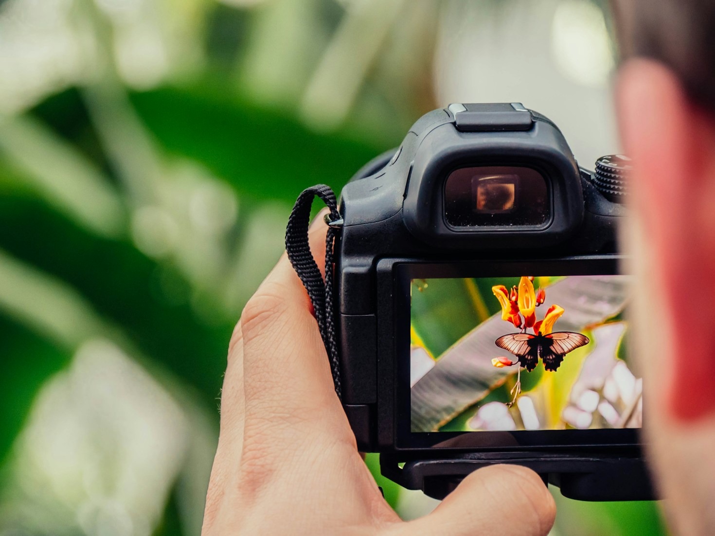 Event Photography: Insights From The Experts